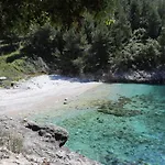 Segedin *