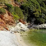 Segedin