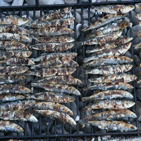 Segedin