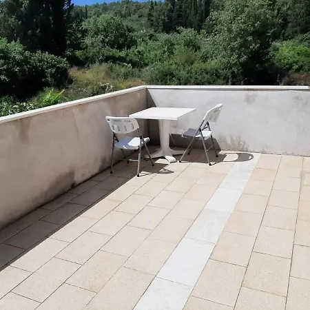 Segedin * Zrnovo