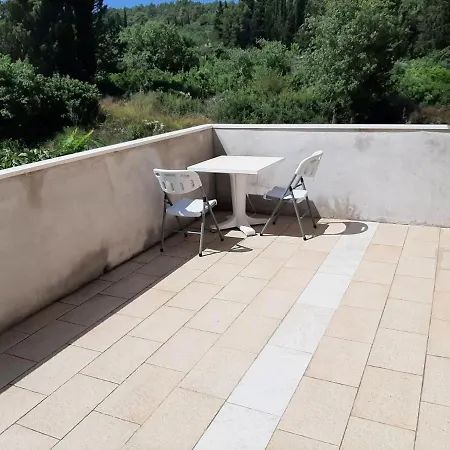 Segedin * Zrnovo