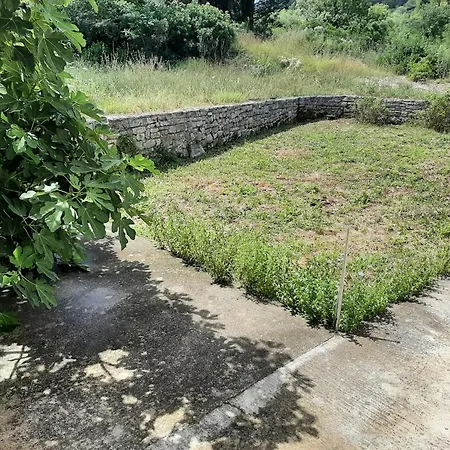 Apartment Segedin