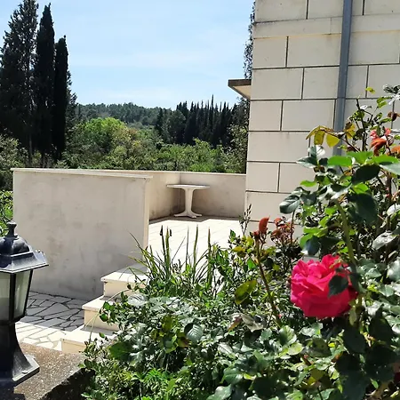 Apartment Segedin