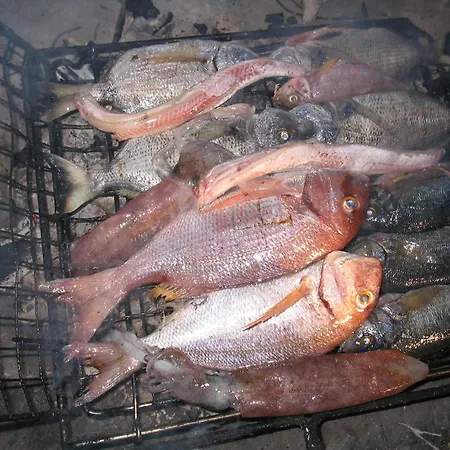 Segedin アパート