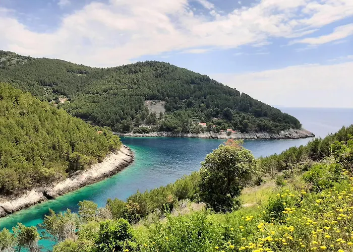 Segedin Apartament Zrnovo